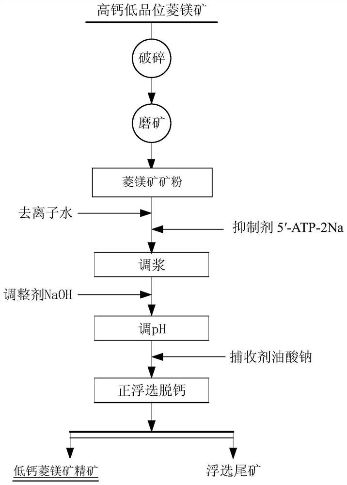 Application of a High Efficiency Inhibitor 5′-atp-2na in Decalcification of Magnesite by Positive Flotation