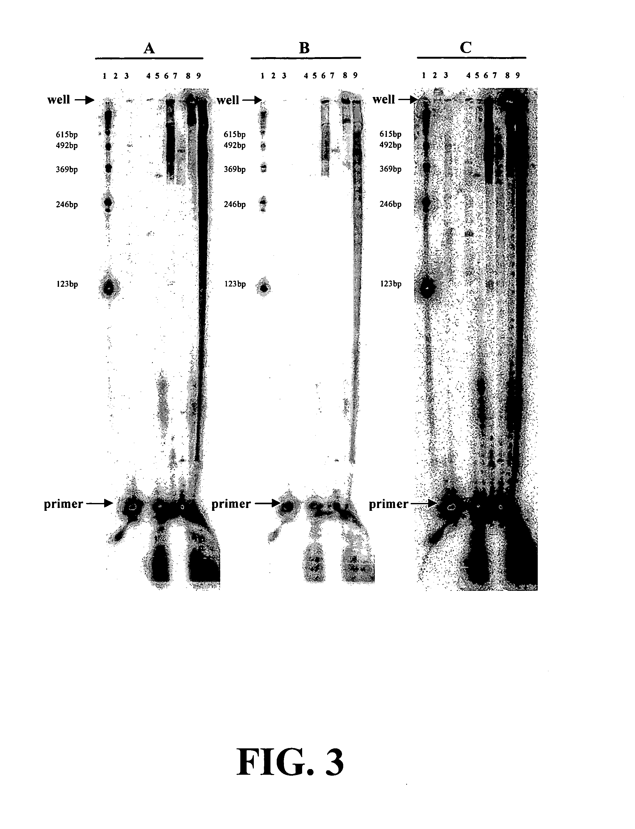 Enzymatic nucleic acid synthesis: methods for inhibiting pyrophosphorolysis during sequencing synthesis