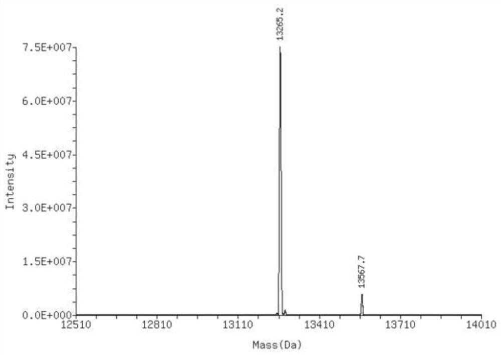 A kind of nucleic acid aptamer drug conjugate and its preparation method and use