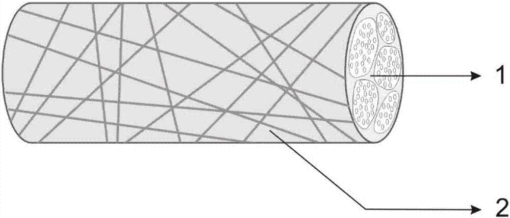 Nano-fiber surface-modified xenogeneic acellular nerve graft and preparation method thereof