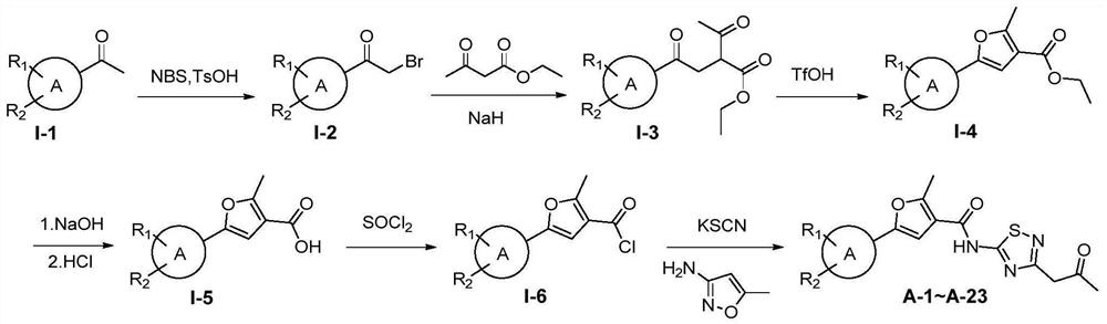 Thiadiazole amide compound and application thereof