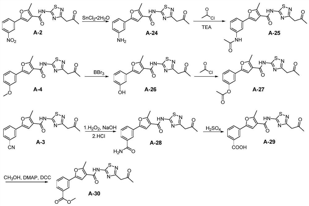 Thiadiazole amide compound and application thereof