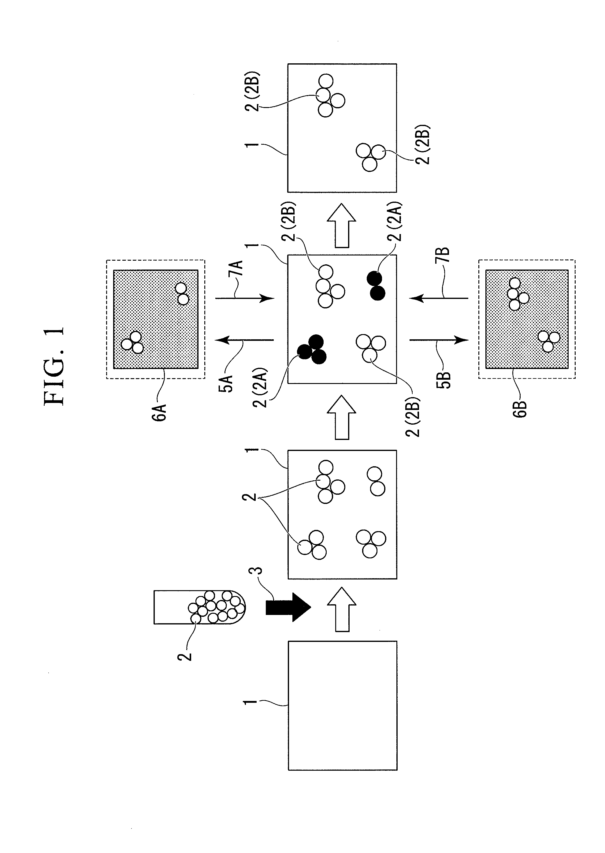 Method for separating cells, cell culture substrate, and device for separating cells