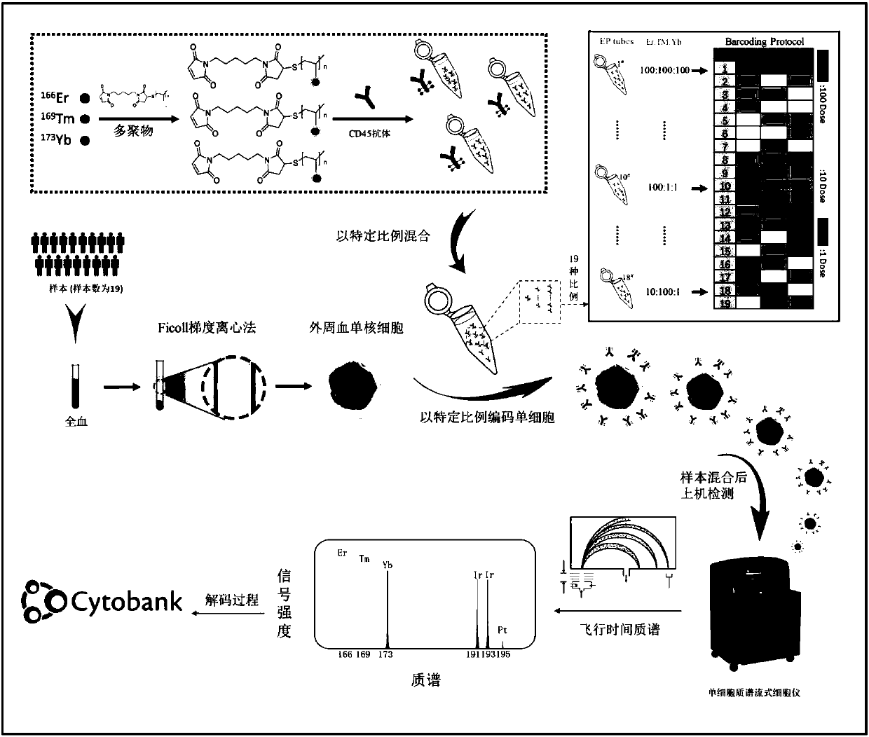 Detecting method for unicellular mass spectrum flow cytometry