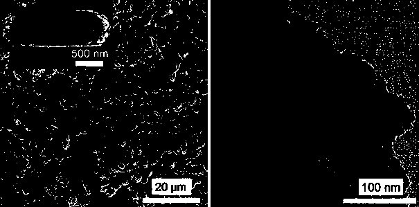 Copolymerization modified ordered mesoporous carbon nitride photocatalyst