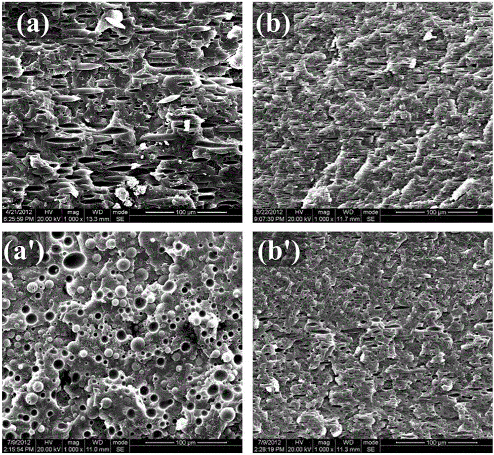 Method for promoting dispersion phases in incompatible polymer blend to form stable fibers