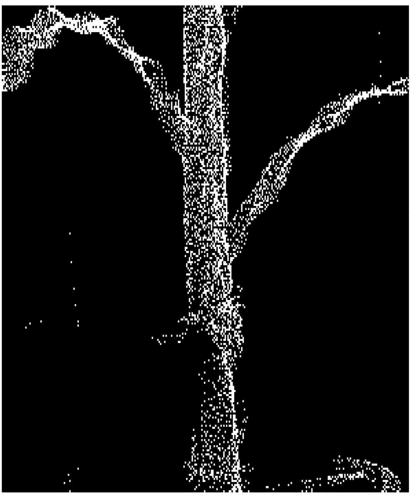 A restoration method of plant organ point cloud