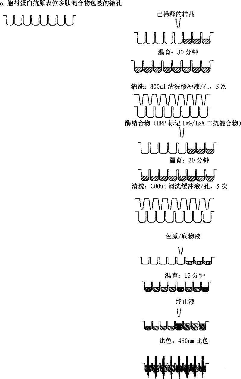 Alpha-fodrin antigen epi-position polypeptide mixture and its use