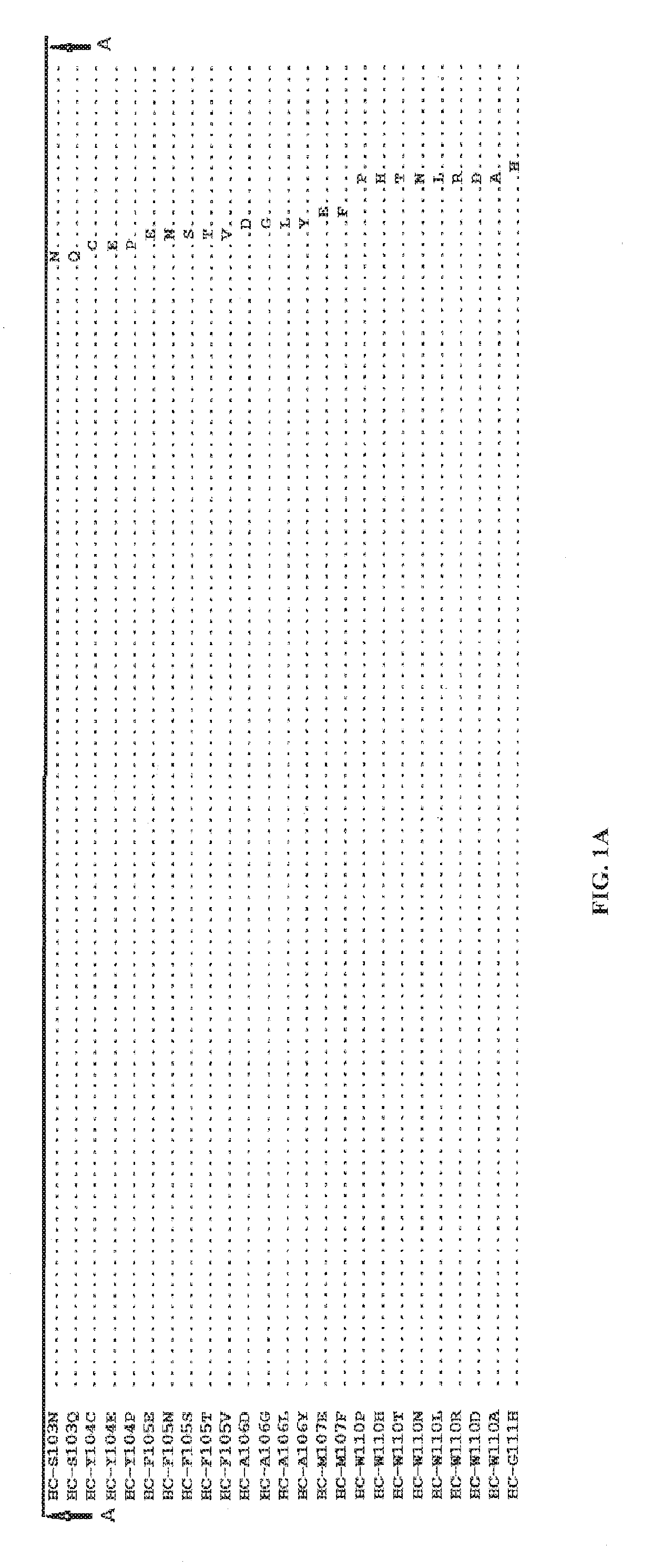 Anti-axl antibodies, antibody fragments and their  immunoconjugates and uses thereof