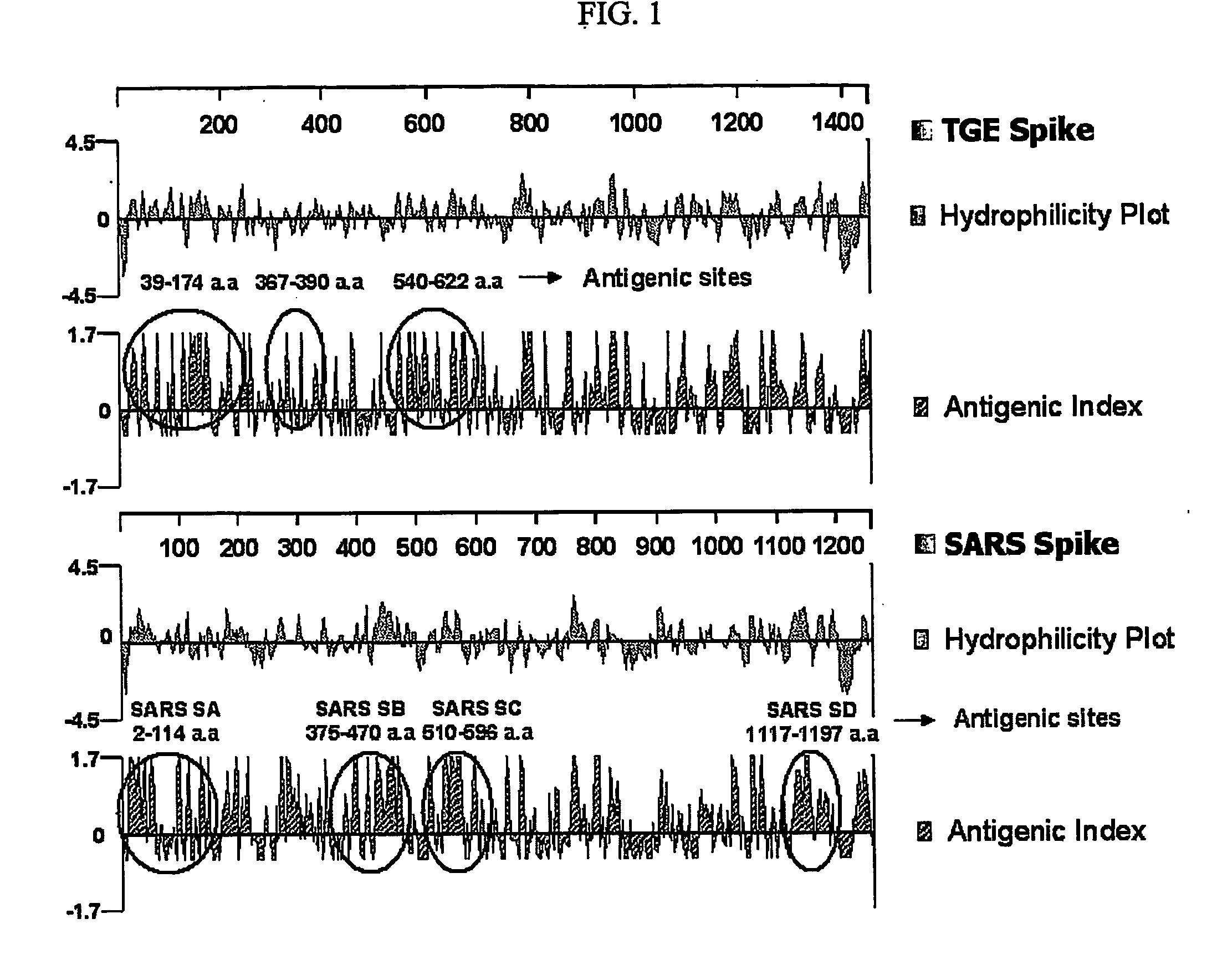 Cell surface expression vector of sars virus antigen and microorganisms transformed thereby