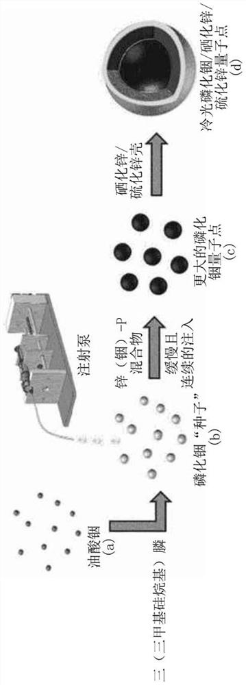 Red-emitting quantum dots having narrow full width at half maximum and emission wavelength for application to high-color-purity display, and preparation method therefor