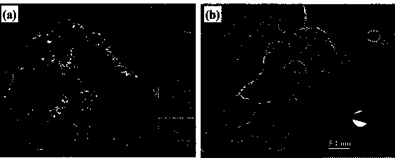 Method for preparing conductive polymer-rare-earth complex composite electric catalyst