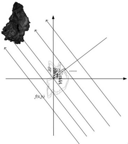 Stacked projection reconstruction method for segmented small-area tumor blocks