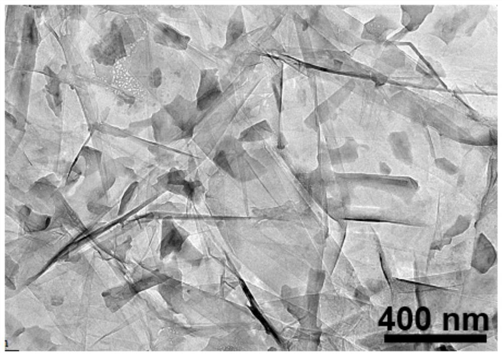 A kind of three-dimensional porous black phosphorene/graphene for magnesium ion battery and its preparation method and application