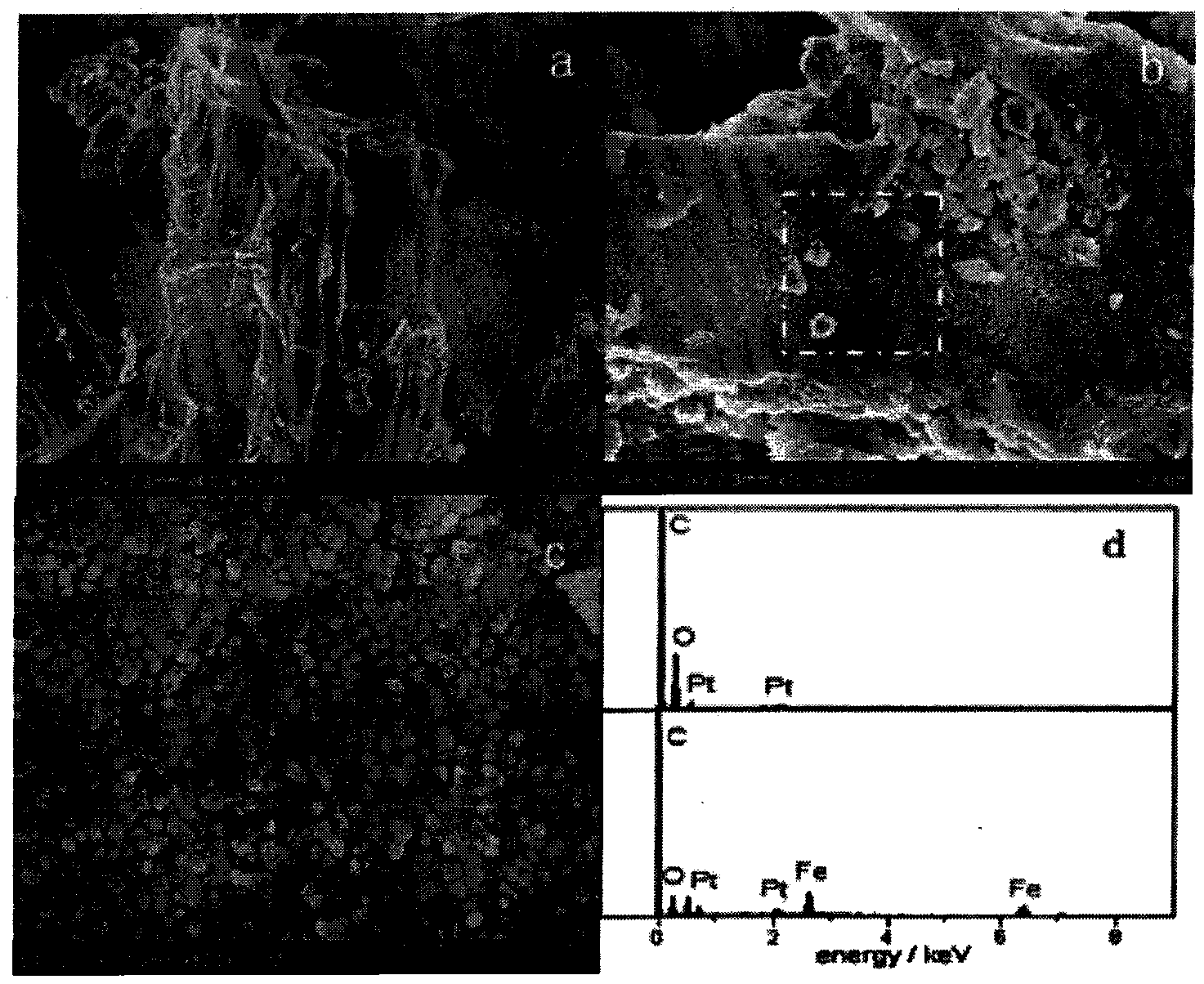 Compound adsorbent based on hippophae rhamnoides linn branches and trunks and preparation method of compound adsorbent