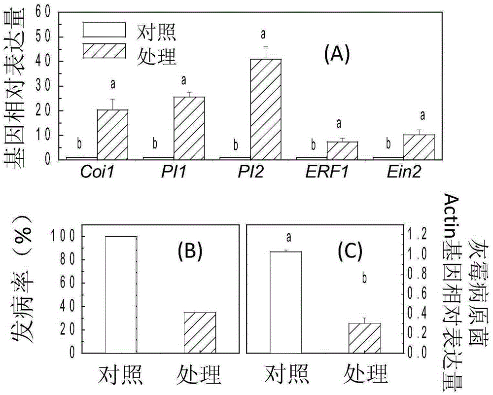 Applications of eicosapentaenoylethanolamide in improvement of plant gray mold resistance