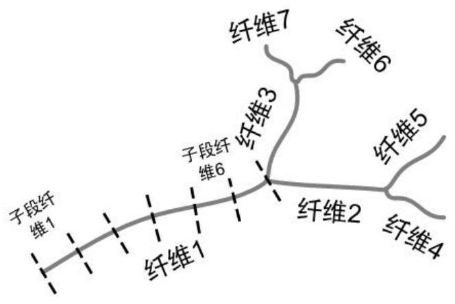 A method and device for visualizing long-range projection neurons