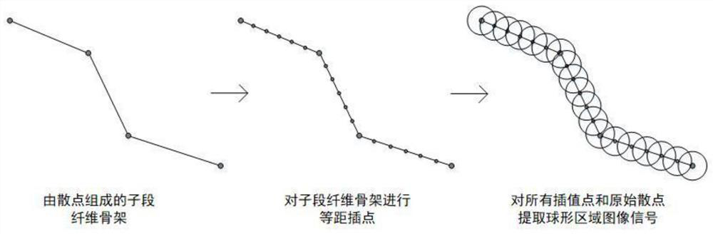 A method and device for visualizing long-range projection neurons