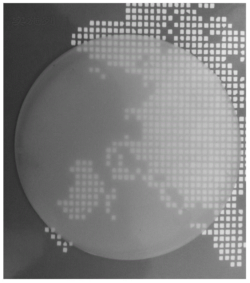 Nylon composite material with high transparency and low temperature cracking resistance and preparation method thereof