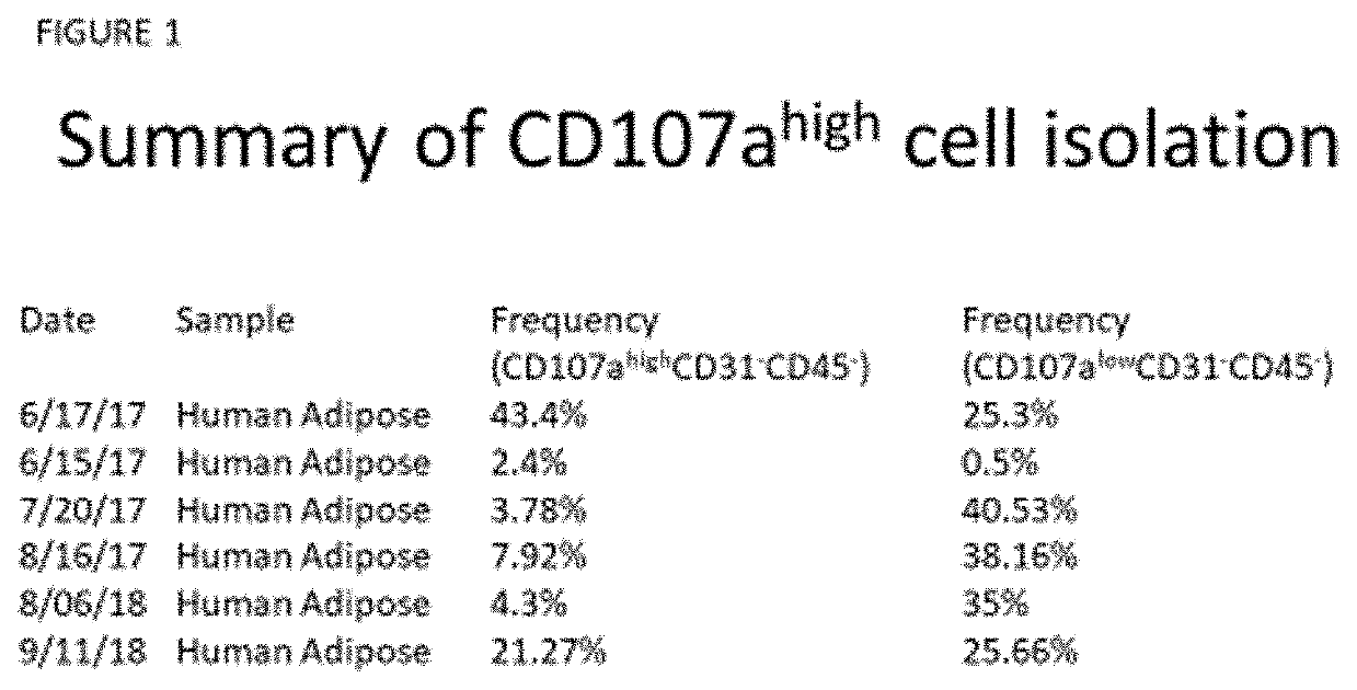 Partioning of adult mesenchymal stem cells