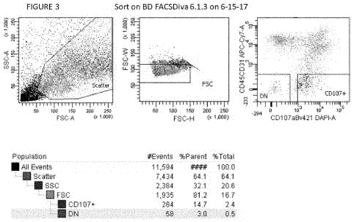 Partioning of adult mesenchymal stem cells