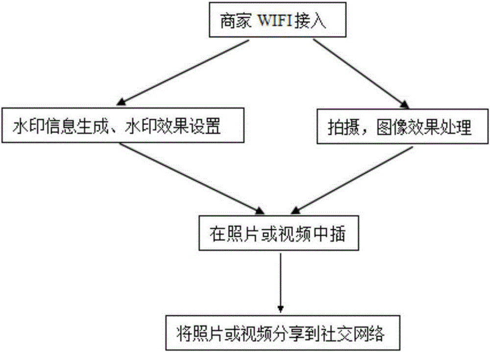 Watermark information inserting system and method