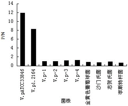 Kit for rapid detection of Vibrio parahaemolyticus tdh toxin in food and its application