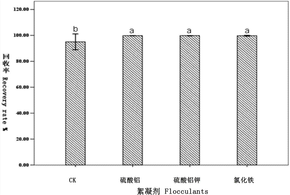 Preparation method of paecilomyces lilacinus spore powder