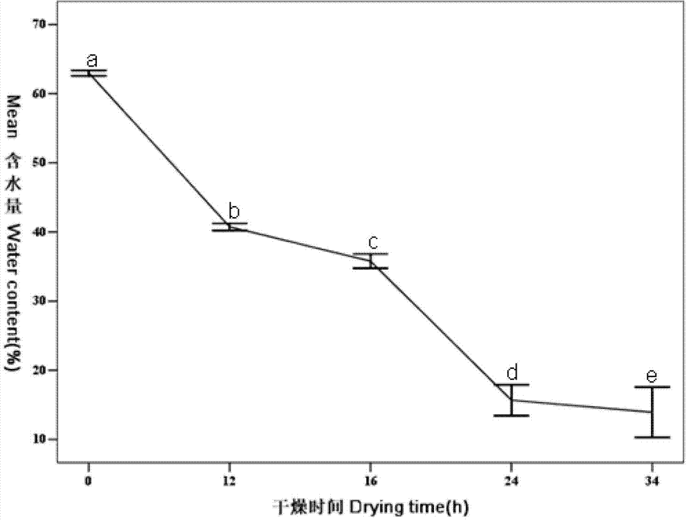 Preparation method of paecilomyces lilacinus spore powder