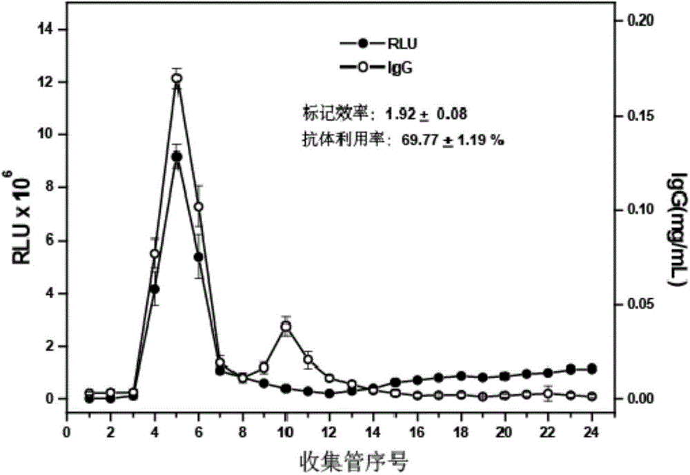 Goldmag particle-based acridinium ester chemiluminescence immunological detection method of HE4