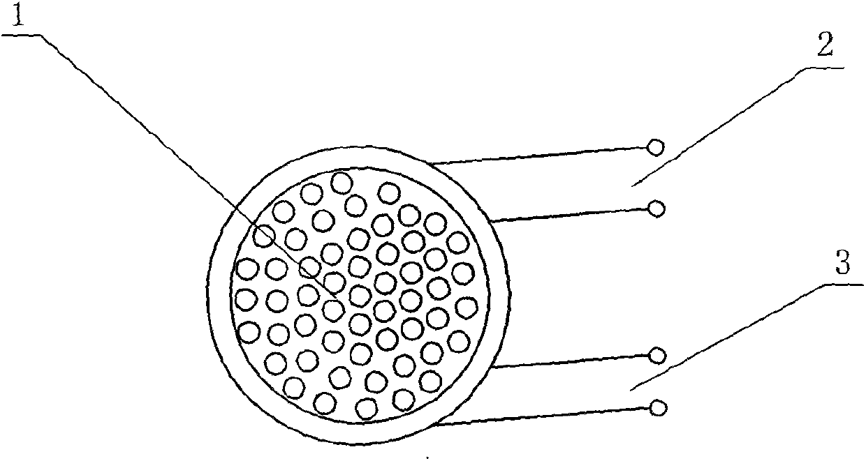 Reinforced electromagnetic therapeutic apparatus with superimposed magnetic fields