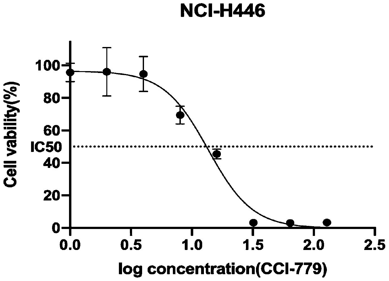 Application of apatinib and combination of apatinib and CCI-779 in preparation of drugs for treating lung cancer