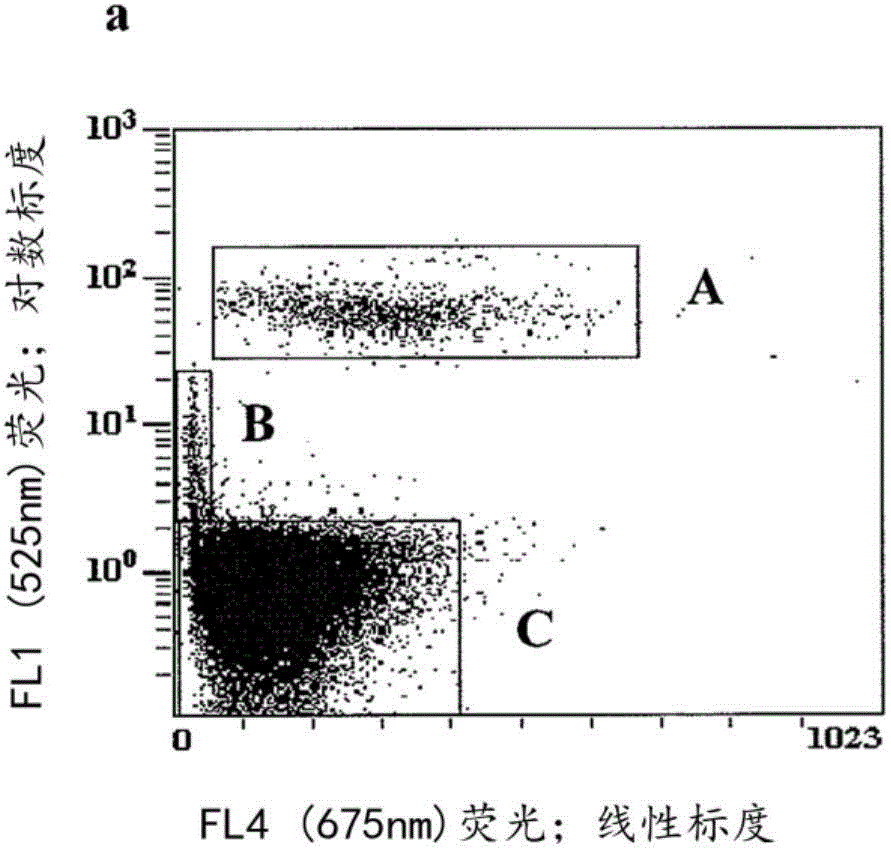 Systems and methods to determine the age of cells