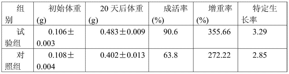 Method for inducing hucho taimen young fishes to open mouths and to be domesticated