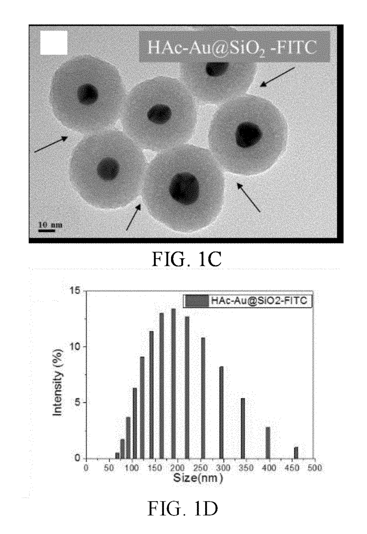 Therapy for glioblastoma multiforme