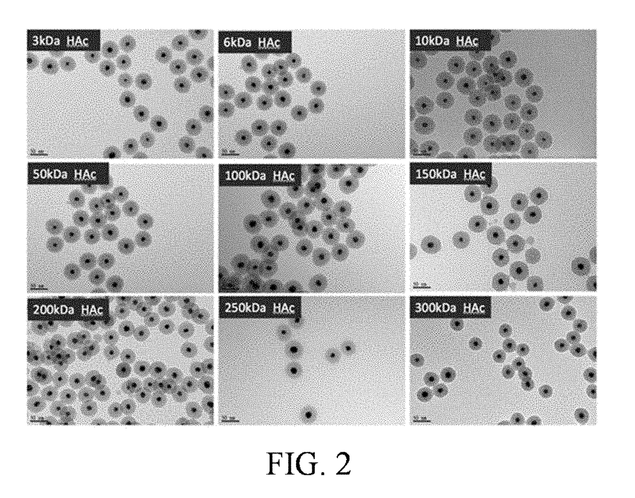 Therapy for glioblastoma multiforme