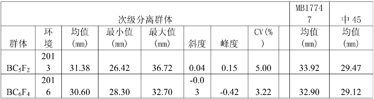 Molecular marker interlocked with cotton fiber length major QTL and application thereof