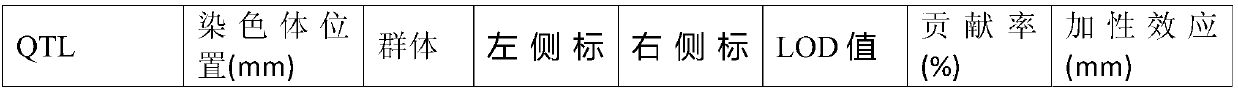 Molecular marker interlocked with cotton fiber length major QTL and application thereof