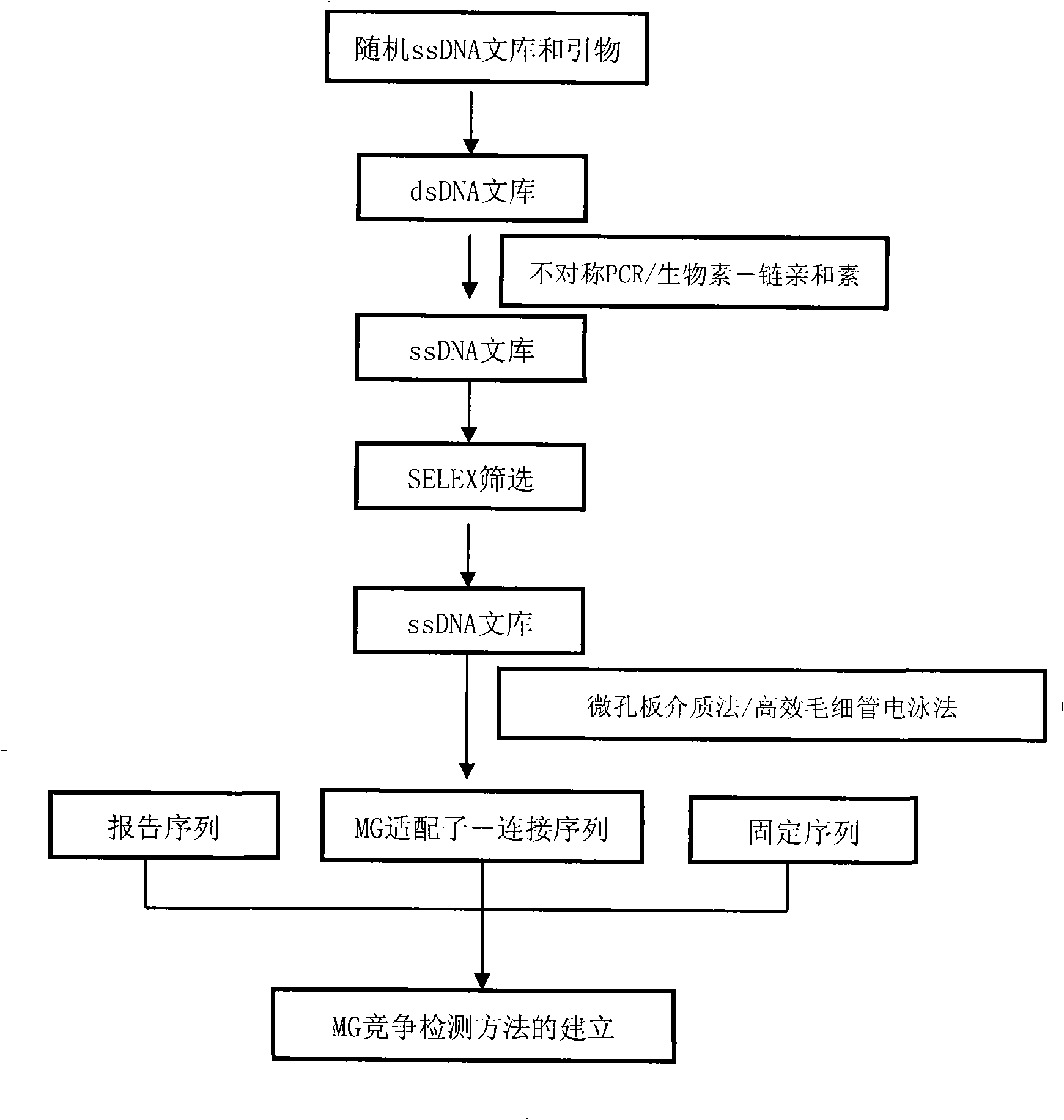 Method for rapidly detecting malachite green in aquatic products by Aptamer