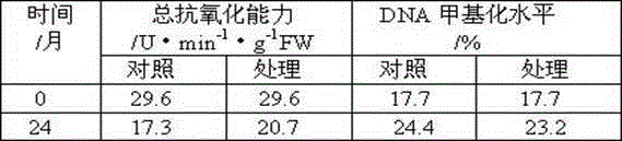 Long-term-subculture butterfly orchid protocrom-like body aging alleviating method