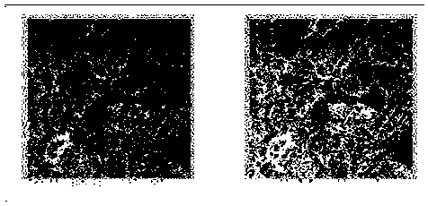 An intelligent evaluation method for satellite remote sensing image availability