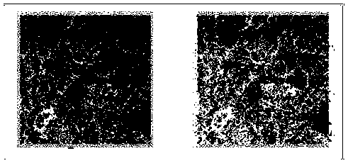 An intelligent evaluation method for satellite remote sensing image availability