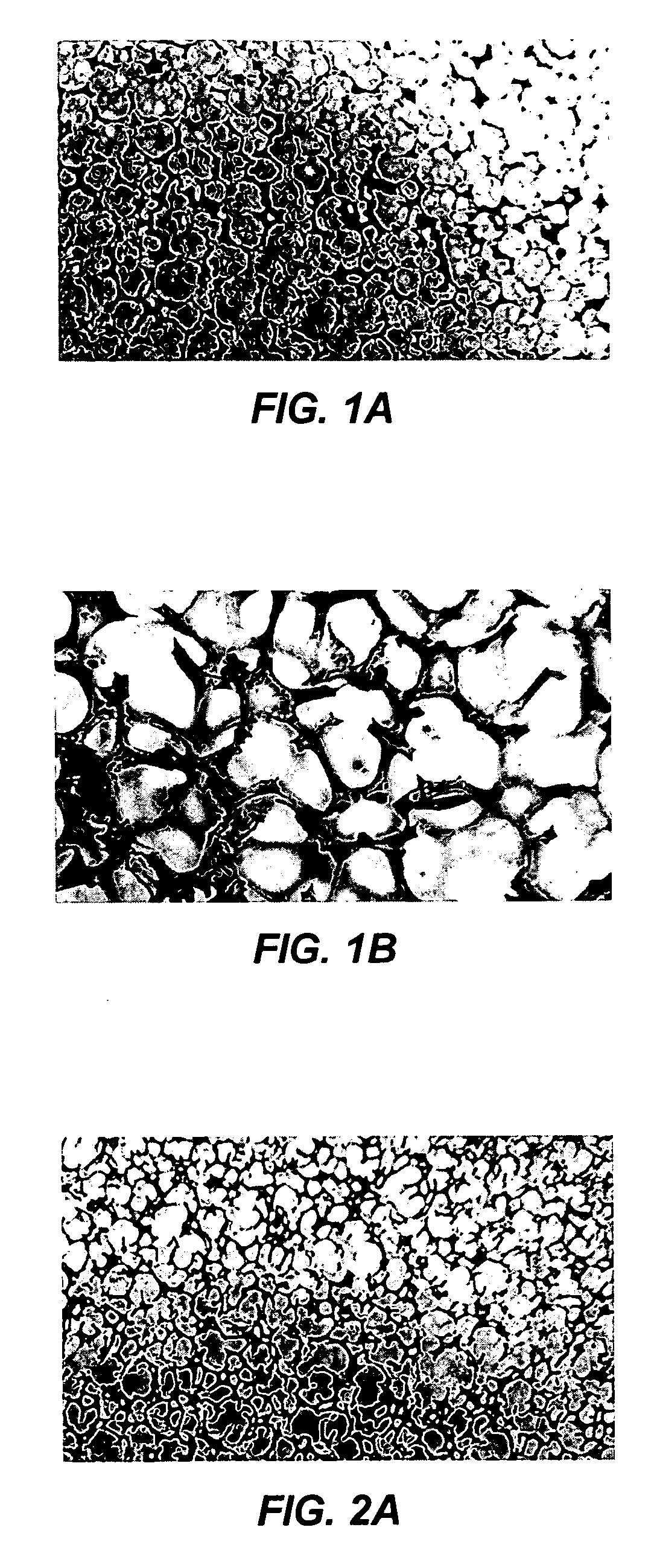 Reticulated material body support and method