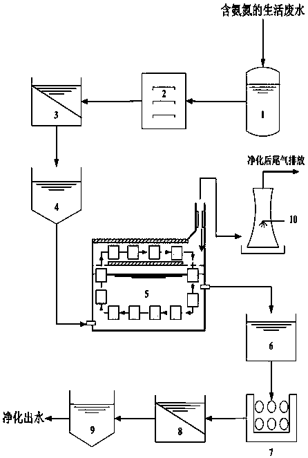 Treatment method for removing ammonia nitrogen in domestic wastewater