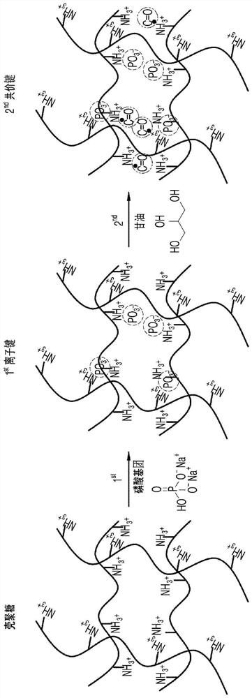 Temperature-sensitive chitosan hydrogel composition and bioink composition comprising same