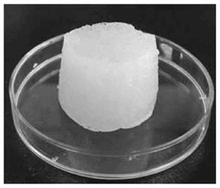 Temperature-sensitive chitosan hydrogel composition and bioink composition comprising same