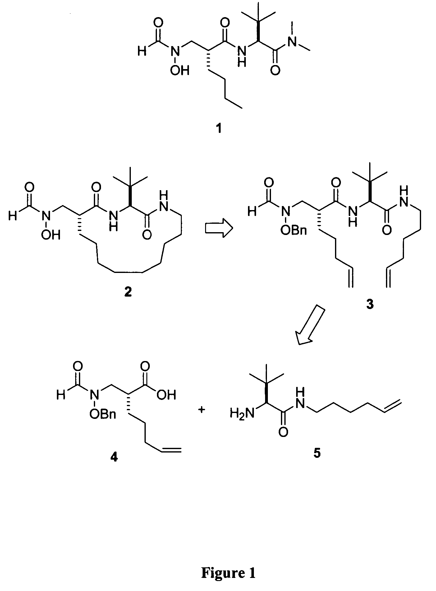 Peptide deformylase inhibitors as novel antibiotics