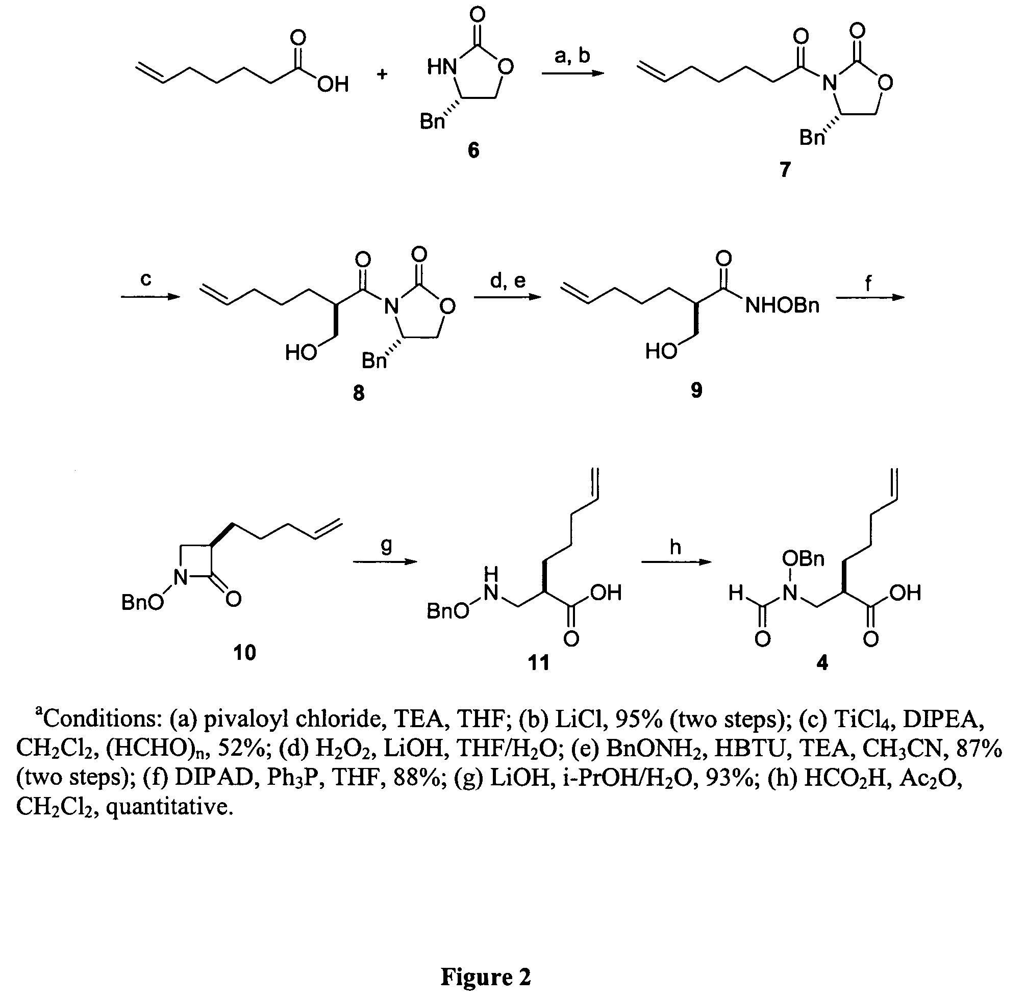 Peptide deformylase inhibitors as novel antibiotics