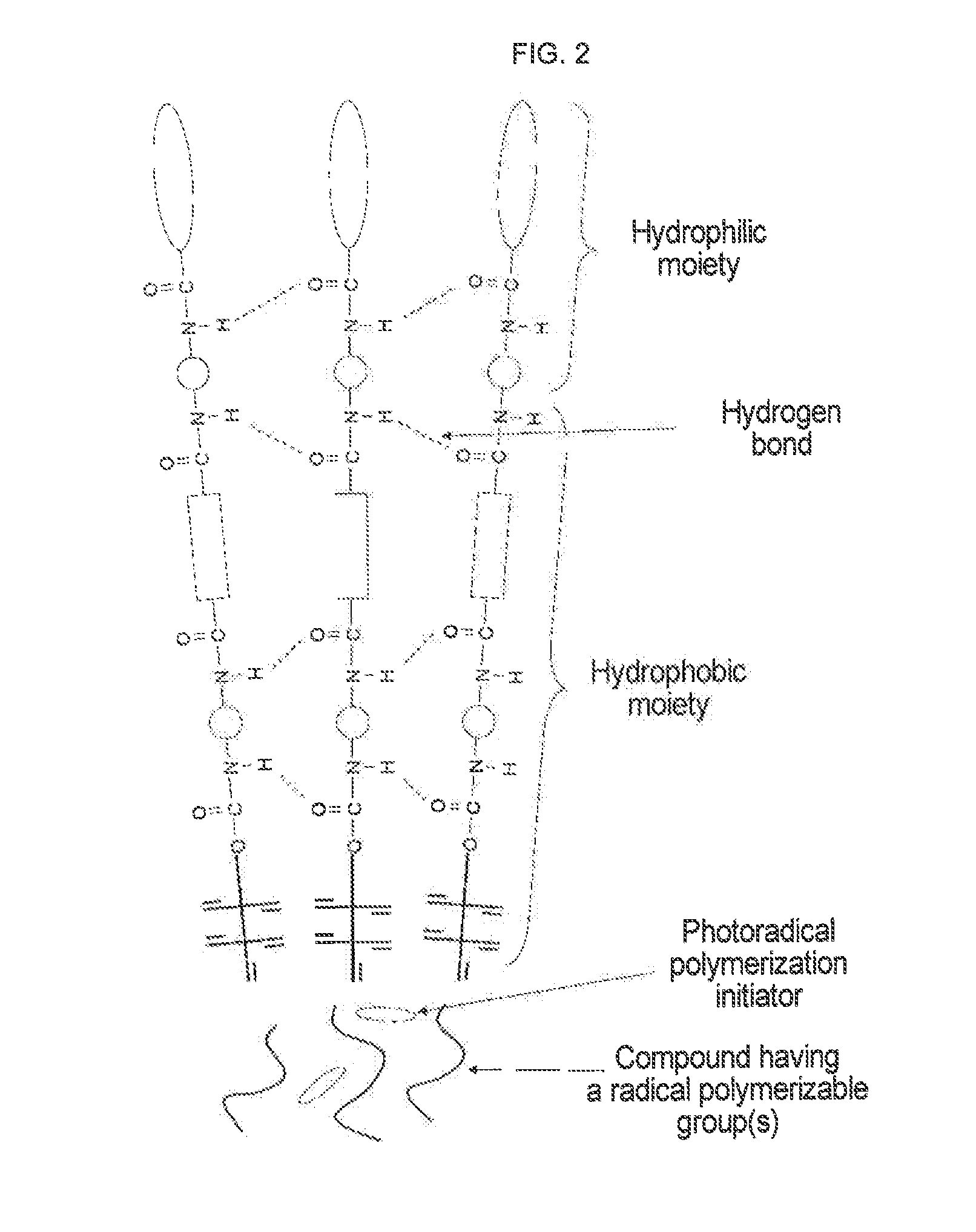 Urethane (METH) acrylate and production method thereof, cross-linked urethane (METH) acrylate and production method thereof, and light curable aqueous emulsion