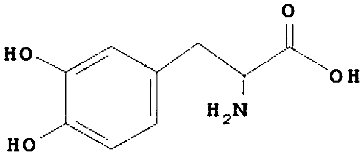 Engineered bacterium to improve stability of tyrosine phenol-lyase and construction method and application thereof